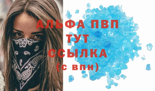хмурый Арсеньев