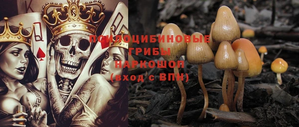 хмурый Арсеньев