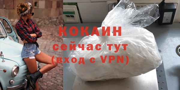 хмурый Арсеньев