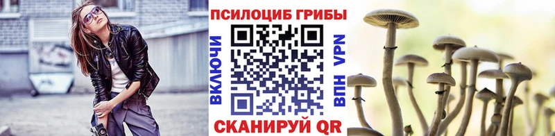 Купить  Рассказово  Галлюциногенные грибы прущие грибы 
